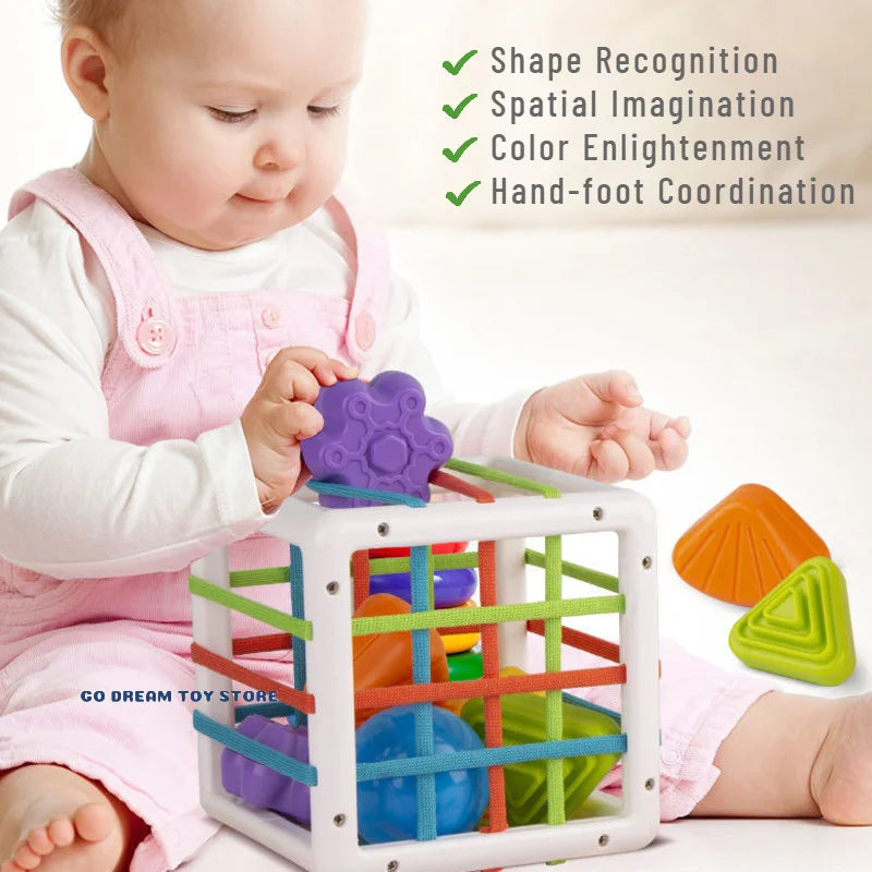 BPA FREE Shape Sorting Toys