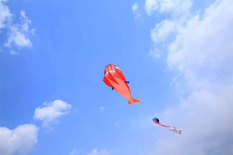 Large Dolphin Kite Ripstop Nylon