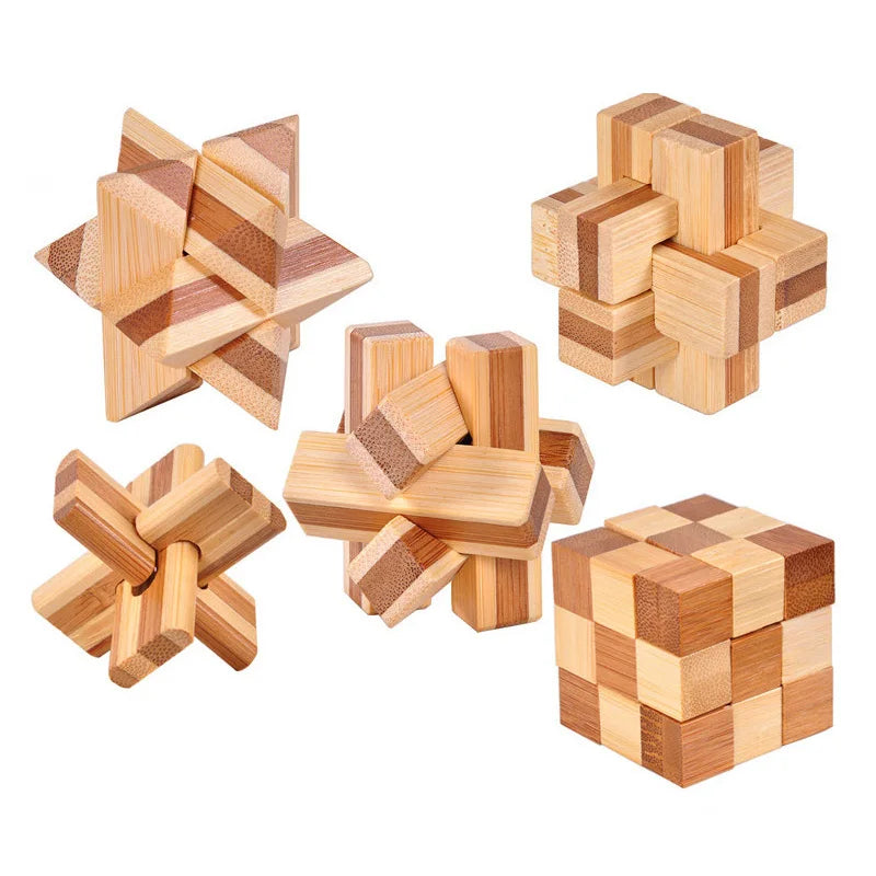 Wooden IQ Brain Teaser Educational Toy