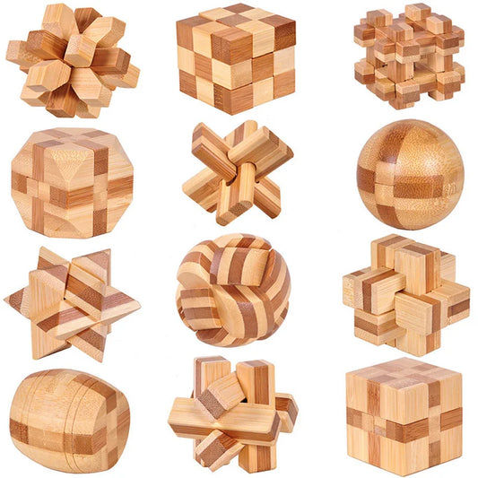 Wooden IQ Brain Teaser Educational Toy