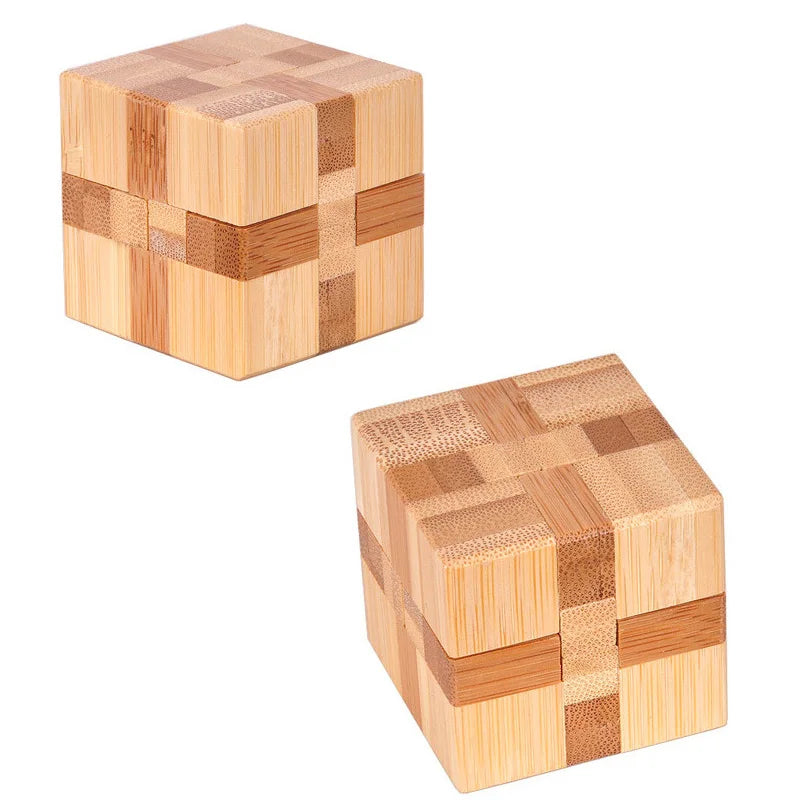 Wooden IQ Brain Teaser Educational Toy