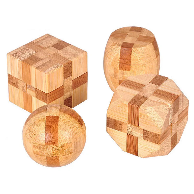 Wooden IQ Brain Teaser Educational Toy