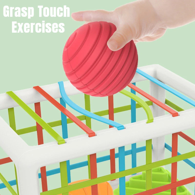 BPA FREE Shape Sorting Toys