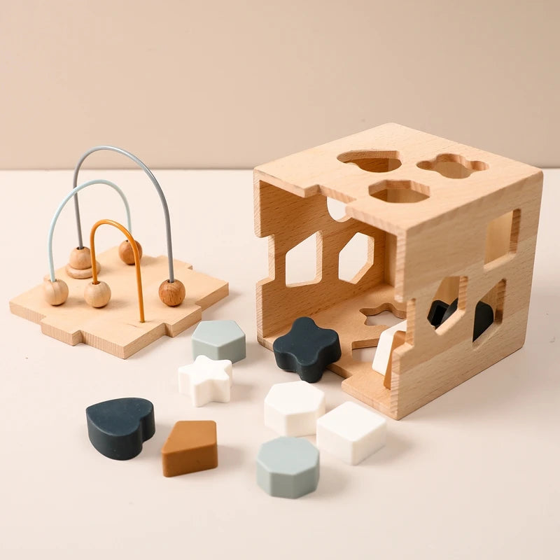 Montessori Toys Wooden Activity Cube