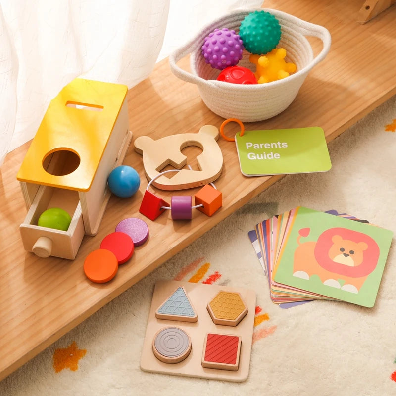 Wooden Montessori Sensory Toys