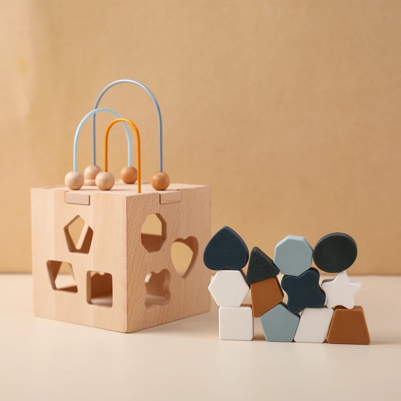 Montessori Toys Wooden Activity Cube