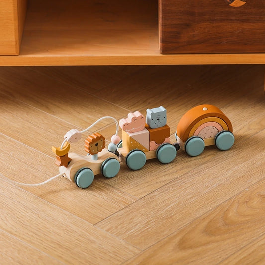 Wooden Rainbow Train Blocks