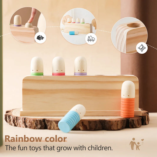 Wooden Bouncing Color Recognition Toy