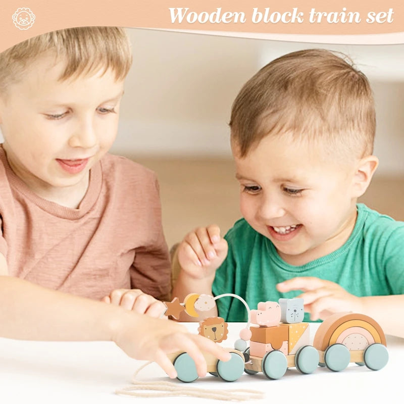 Wooden Rainbow Train Blocks