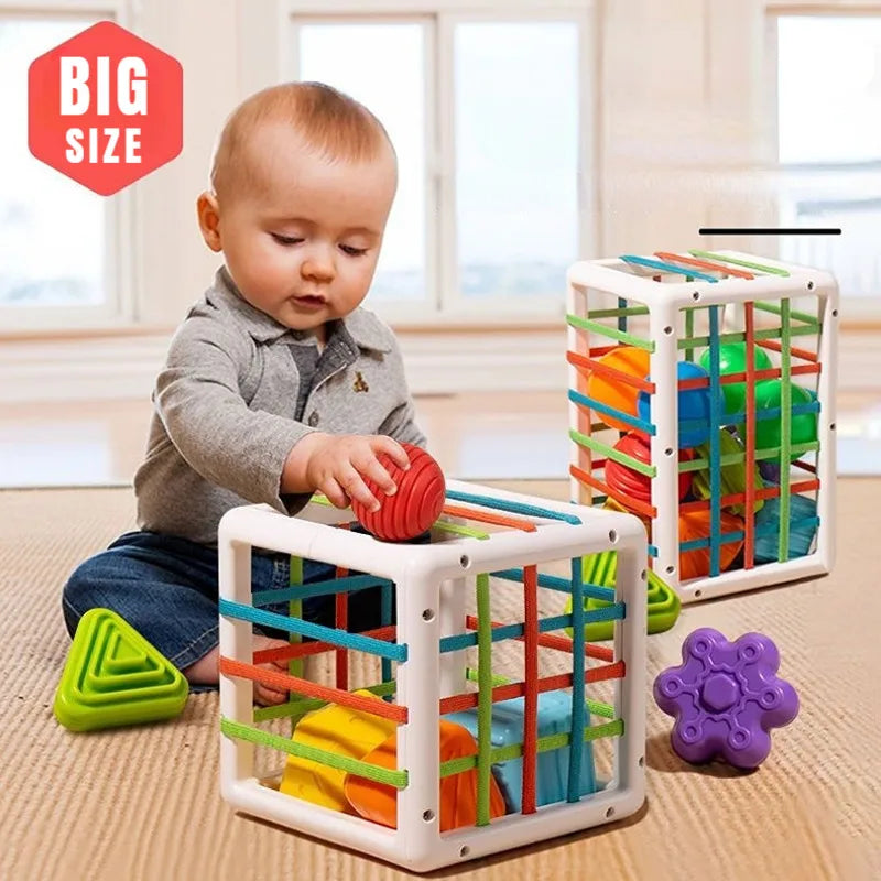 BPA FREE Shape Sorting Toys